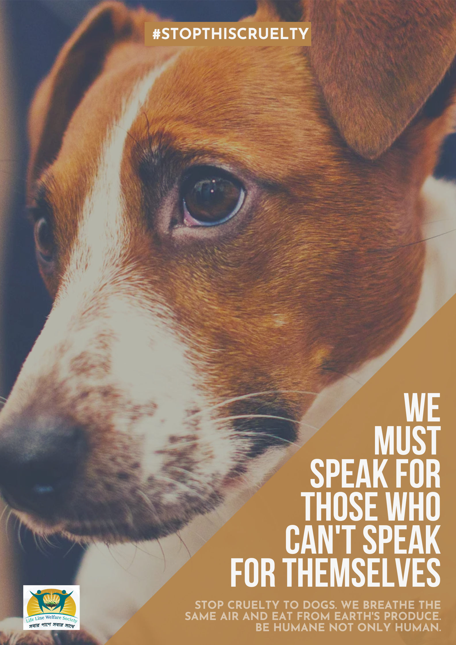 Don’t Turn Away — Turn Hope Around - Image 1