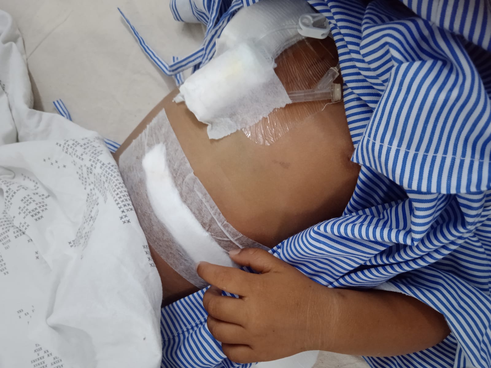 NABAPARNA ROY - Image 2